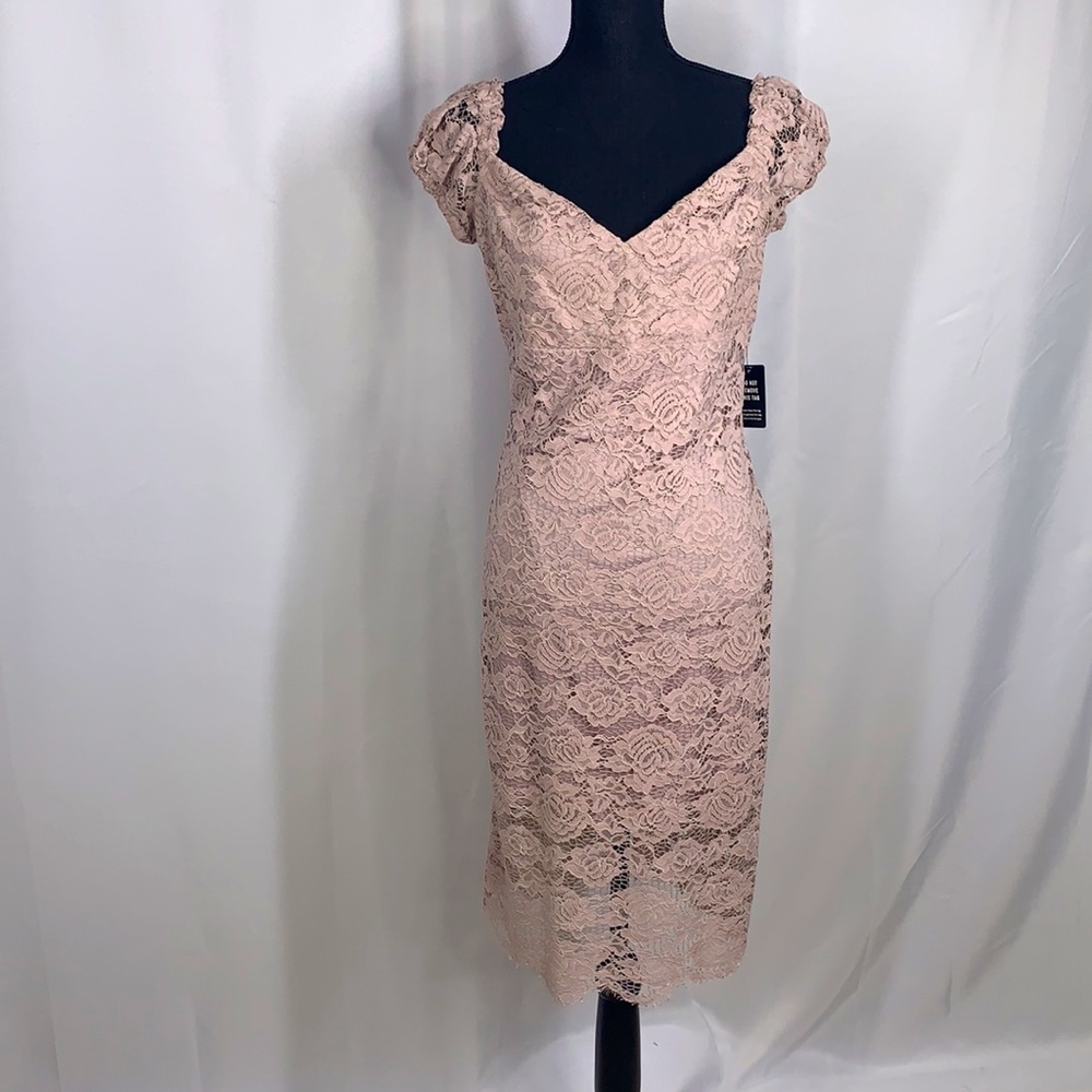 Express Pink Blush Lace Sheath Dress.